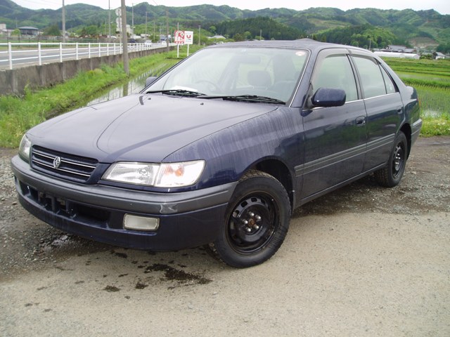 OTHER IMAGES