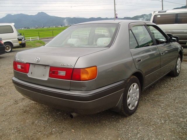 OTHER IMAGES